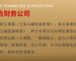 霍爾果斯商服顧問的財務(wù)咨詢 助力企業(yè)跨境發(fā)展